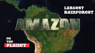 Amazon Rainforest Sounds  South America  Jungle sounds [upl. by Earley177]