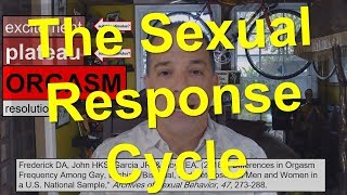 The Sexual Response Cycle [upl. by Mook957]