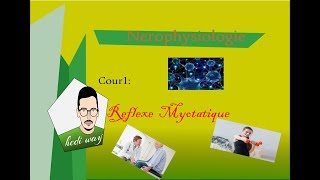 01 Le Reflexe myotatique  Neurophysiologie Bac Tunisie [upl. by Nahshunn]