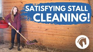 HOW TO CLEAN A HORSE STALL StepByStep [upl. by Witt]