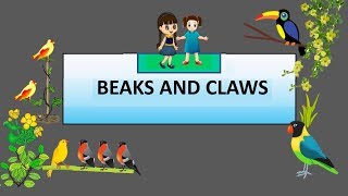 CBSE Class 4 Science Beaks and Claws of Birds [upl. by Akiv]