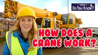 How do Cranes work 🏗️ Maddies Do You Know 👩 [upl. by Orlan]