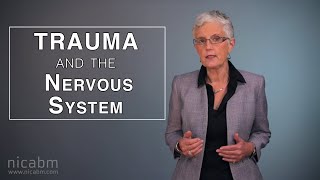 Trauma and the Nervous System and strategies to work with it [upl. by Ben]