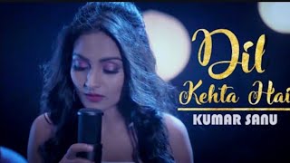 Dil kehta hai female version lyrics [upl. by Cinelli]