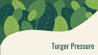 Turgor Pressure [upl. by Siahc276]