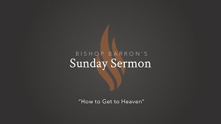 How to Get to Heaven — Bishop Barron’s Sunday Sermon [upl. by Haliak]