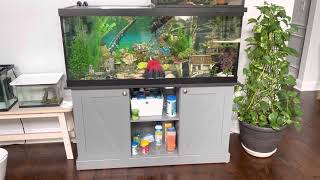 Marineland 75 Gallon Tank Review [upl. by Riker]