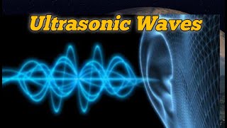 Ultrasonic Waves  Definition  Production  Detection  Properties  Application class 11  SHORTS [upl. by Ynelram]