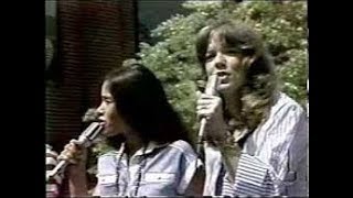 Starland Vocal Band  Afternoon Delight 1976 [upl. by Elinnet]