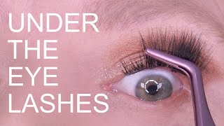 HOW TO APPLY UNDER EYE LASHES [upl. by Sudoeht95]