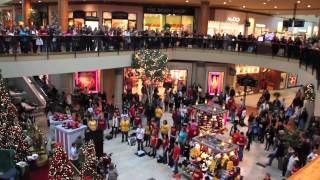 Flash Mob the best of Christmas 2011  Flash Mob Best Of [upl. by Granny]