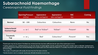 Ischemic and Hemorrhagic Strokes  High Yield [upl. by Haelak968]