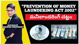 quotPREVENTION OF MONEY LAUNDERING ACTquot 2002 [upl. by Nayab]