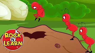 Ants Go Marching Song with Lyrics  Rock N Learn [upl. by Ylnevaeh887]