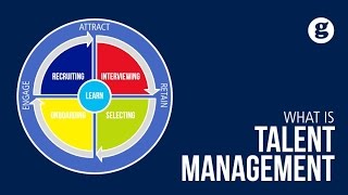 What is Talent Management [upl. by Enicnarf]