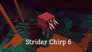 All strider sounds  Minecraft 116 [upl. by Doner300]