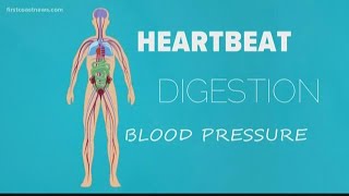 Neurocardiogenic Syncope POTS Fainting Caught on Camera amp AtHome Tilt Table Test for Dysautonomia [upl. by Ardnaeed]