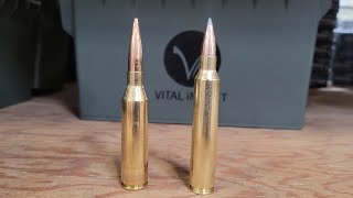 300 Norma Mag vs 300 Remington Ultra Mag [upl. by Hanas362]