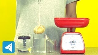 Archimedes Principle demonstration  Buoyancy  Physics [upl. by Ahcire]