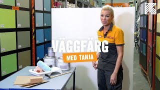 Måla väggar  Tips amp råd HORNBACH [upl. by Edmanda224]