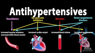 Antihypertensive Medications  Pharmacology Animation [upl. by Adaynek]