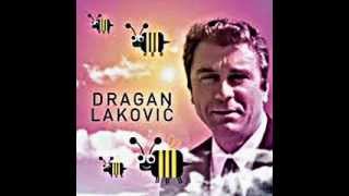 Dragan Lakovic Nek svud ljubav sja [upl. by Eerolam]