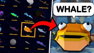 IMPOSSIBLE Guess The FISH CHALLENGE Fisch [upl. by Annayat117]