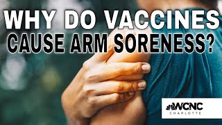 Why does your arm hurt after the COVID19 vaccine [upl. by Acissj]