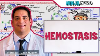 Hematology  Hemostasis Coagulation Cascade [upl. by Ayekam]