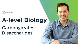 Carbohydrates Disaccharides  Alevel Biology  OCR AQA Edexcel [upl. by Nnyroc]