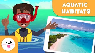 Explore Aquatic Habitats  Types of Habitats for Kids [upl. by Mccafferty155]