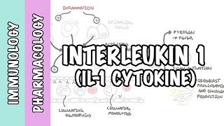 Immunology  Interleukin 1 IL1 physiology and IL1 antagonist pharmacology [upl. by Yelrahc]