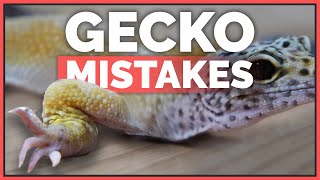 How NOT to Care for Leopard Geckos  Common Mistakes [upl. by Nnaitak]