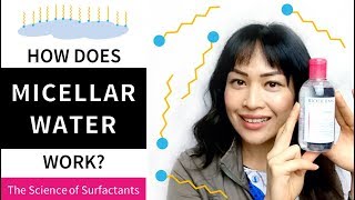 How Does Micellar Water Work The Science of Surfactants  Lab Muffin Beauty Science [upl. by Agan]