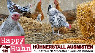 E139 Ausmisten Stallhygiene Einstreu und Kräuterheu im Hühnerstall  HAPPY HUHN Kotanalyse Hühner [upl. by Horne614]