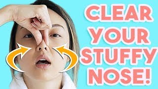 HOW TO Clear A Stuffy Nose INSTANTLY [upl. by Oiracam]