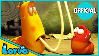 LARVA Funny Animation  LARVA AND THE SPAGHETTI  Cartoons  Comics  LARVA Official [upl. by Hoo]