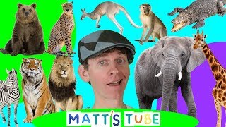 Wild Animals  Matts Tube 1  Learning Wild and Zoo Animals for Kids [upl. by Adnoval]