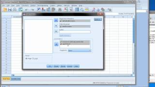 Logit and probit in SPSS and SAS [upl. by Clotilde]