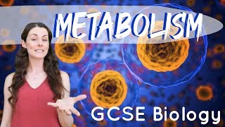 Metabolism  GCSE Biology [upl. by Eyde]