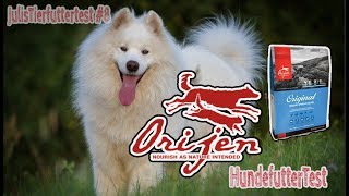 ORIJEN Hundefutter im Test  Trockenfutter für Hunde  JulisTierfuttertest 8  Review [upl. by Iris85]