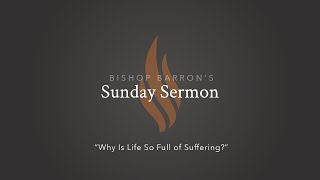 Why Is Life So Full of Suffering — Bishop Barron’s Sunday Sermon [upl. by Akaenahs]