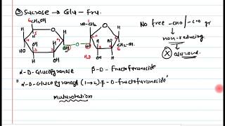 14 Disaccharides [upl. by Tiny119]