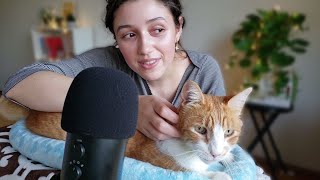 ASMR Cat Pampering 😽 purring brushing soft whispers [upl. by Odilia840]