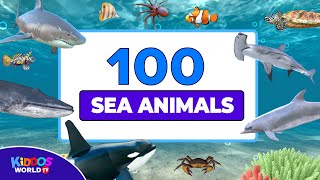 100 Sea Animals Collection  Learning Aquatic Animals Names and Videos [upl. by Tracay552]