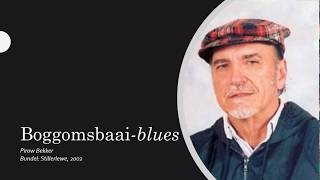 Afrikaans Huistaal Graad 11 gedig Boggomsbaai blues [upl. by Genesia996]