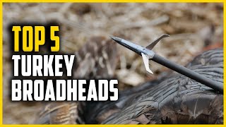 Top 5 Best Broadheads for Turkey in 2024 [upl. by Indys]