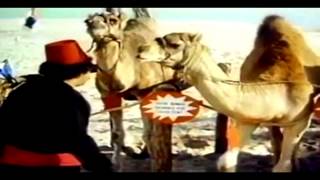 The Last Remake of Beau Geste  comedy classic film trailer [upl. by Samalla764]