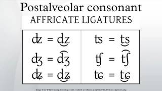 Postalveolar consonant [upl. by Nnyre]