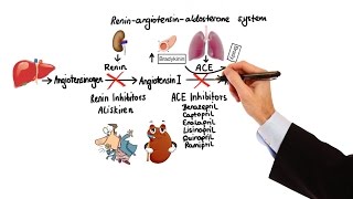 Pharmacology  HYPERTENSION amp ANTIHYPERTENSIVES MADE EASY [upl. by Crockett176]